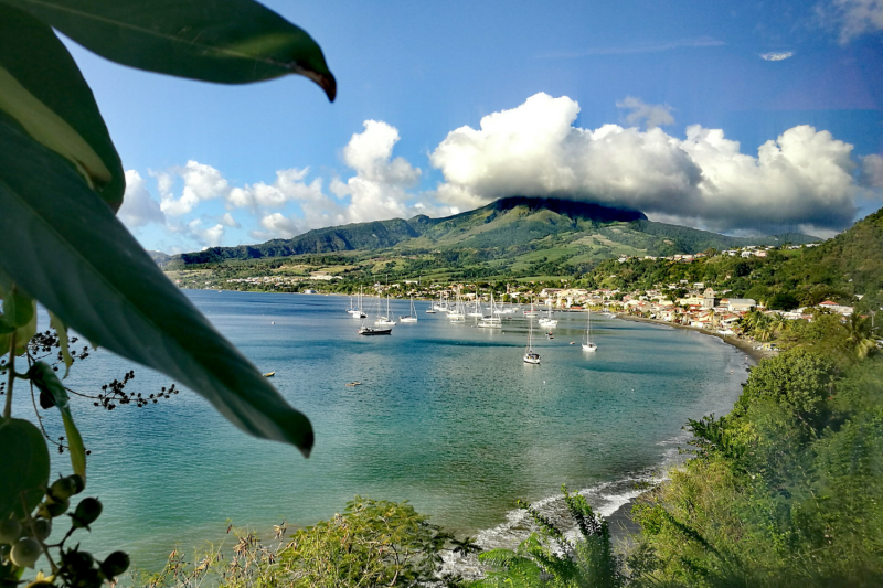 Entreprise de confiance pour un déménagement des Alpes-Maritimes vers La Martinique