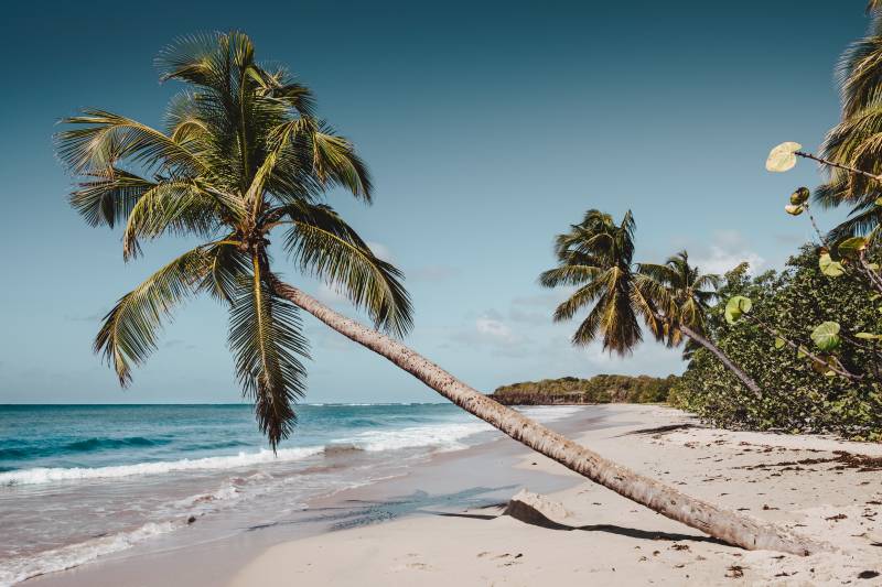 Comment déménager facilement des Bouches-du-Rhône vers Mayotte ?